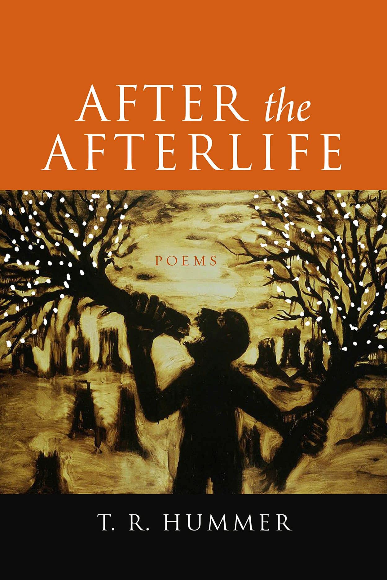 After the Afterlife: A Collection of Thought-Provoking Poems for Reflection, Healing, and Spiritual Growth | Perfect for Book Clubs, Poetry Lovers, and Gift Giving
