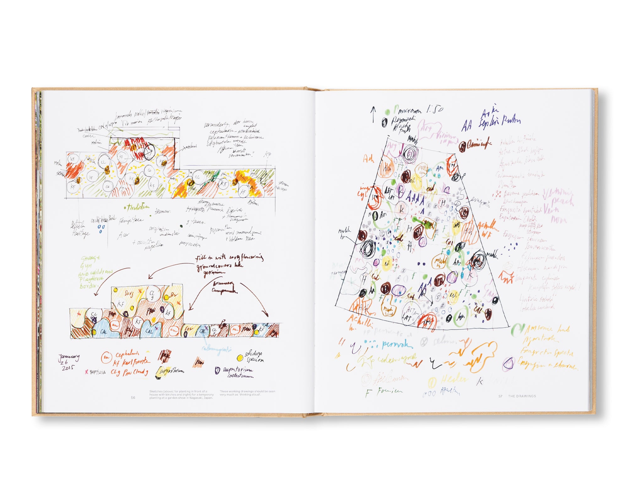PIET OUDOLF AT WORK: A Guide to Naturalistic Garden Design by Piet Oudolf - Perfect for Landscape Architects and Gardening Enthusiasts