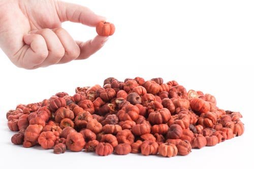 Natural Dried Putka Pod Mini Pumpkins - Fall Decor Bowl Filler (4 Cups) | Tiny Pumpkin Pods for Autumn Centerpieces, Thanksgiving Table Decor & DIY Crafts