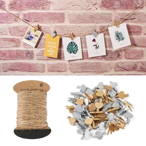 2 Colors Heart-100pcs Clips&10m Cord