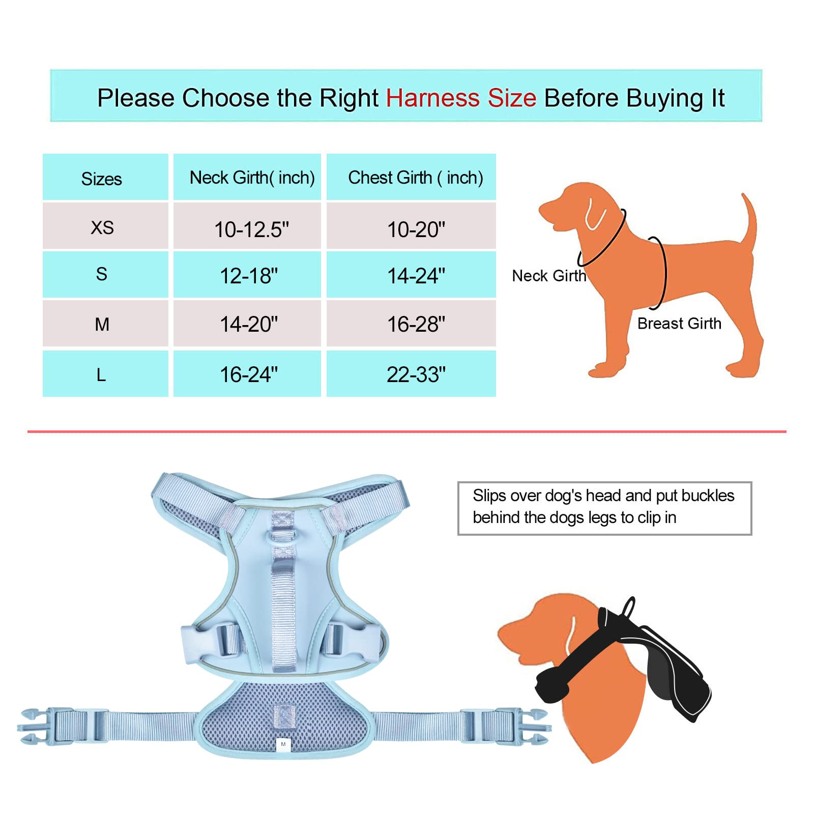 Petmolico Small Dog Harness - Adjustable Puppy Vest with 2 Leash Clips & Soft Handle | Reflective Easy Walk Harness for Small Breeds (Light Blue, Small) | Perfect for Walking, Training & Outdoor Adventures
