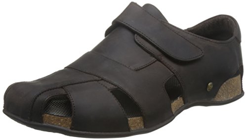 Brown Marron C1