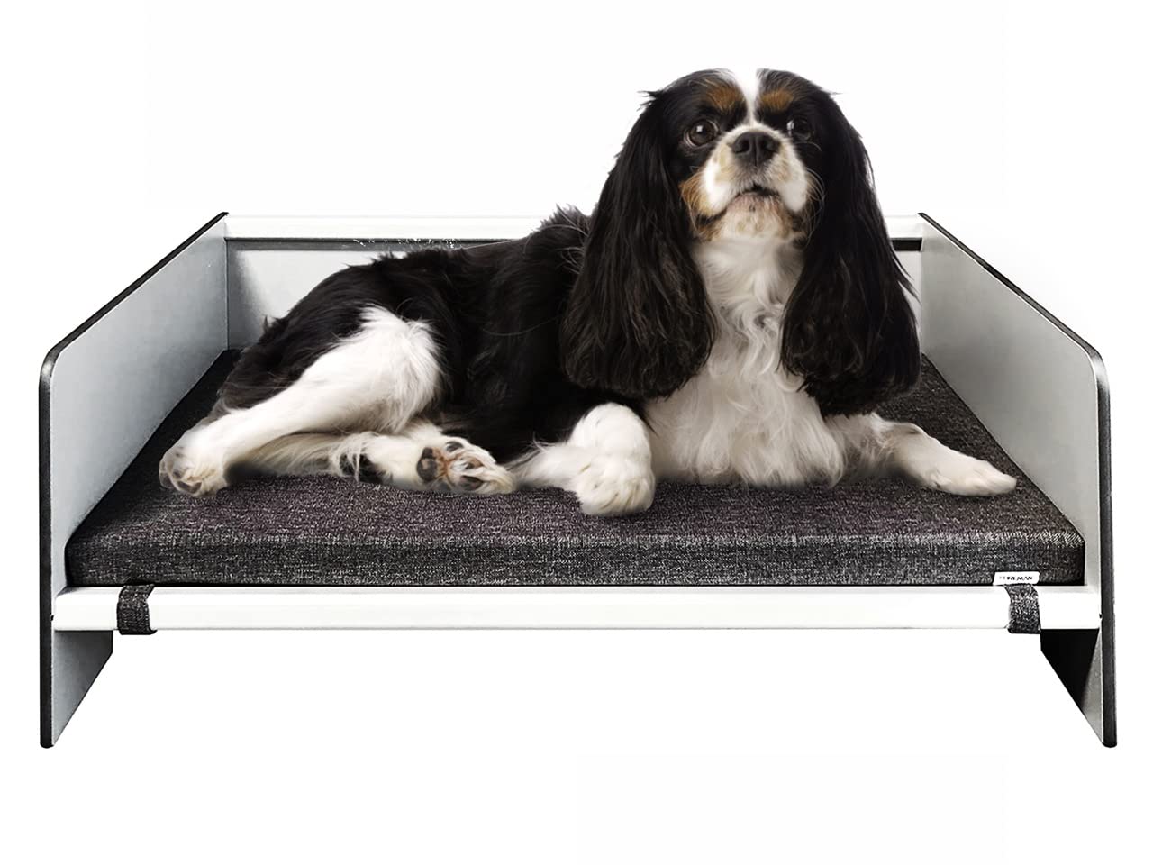 Waterproof Modern Comfort Dog Bed with Backrest - Orthopedic Pet Bed for Dogs & Cats, Durable Compact Laminate & Aluminum Frame, Dark Grey Mattress - Perfect for Indoor Use, Living Room, Bedroom & Pet-Friendly Spaces