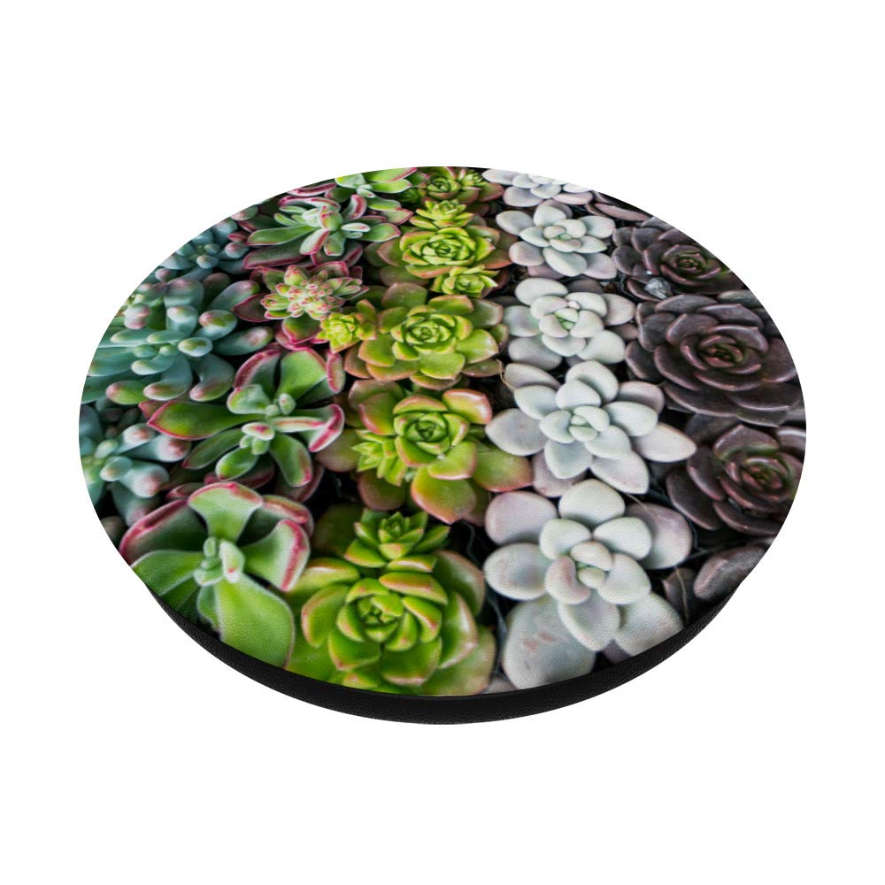 Miniature Succulent Plants Pattern PopSockets PopGrip - Swappable Phone Grip for iPhone, Samsung & Tablets | Cute Phone Accessory for Work, Travel & Daily Use