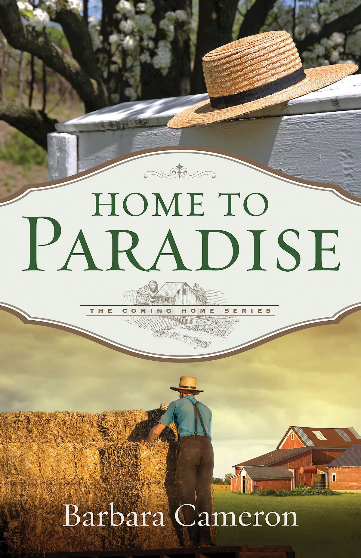 Home to Paradise: The Coming Home Series Book 3 - Inspirational Christian Romance Novel for Women | Perfect for Book Clubs & Relaxing Reading