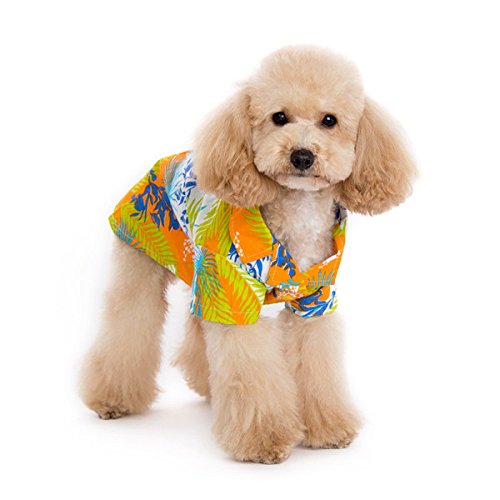 Dogo Tropical Island Dog Shirt - Orange Hawaiian Shirt for Small Dogs - Perfect for Beach, Vacation & Summer Outfits