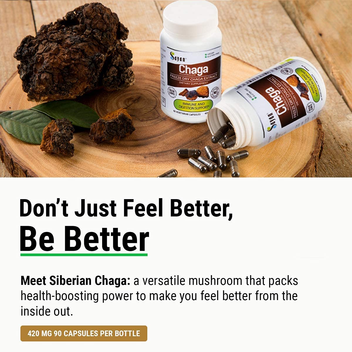 Organic Chaga Mushroom Supplements - 1lb Raw Chaga Powder, 90 Capsules & 20 Tea Bags | Immune Support, Antioxidant Boost | Perfect for Morning Tea, Wellness Routines & Natural Energy