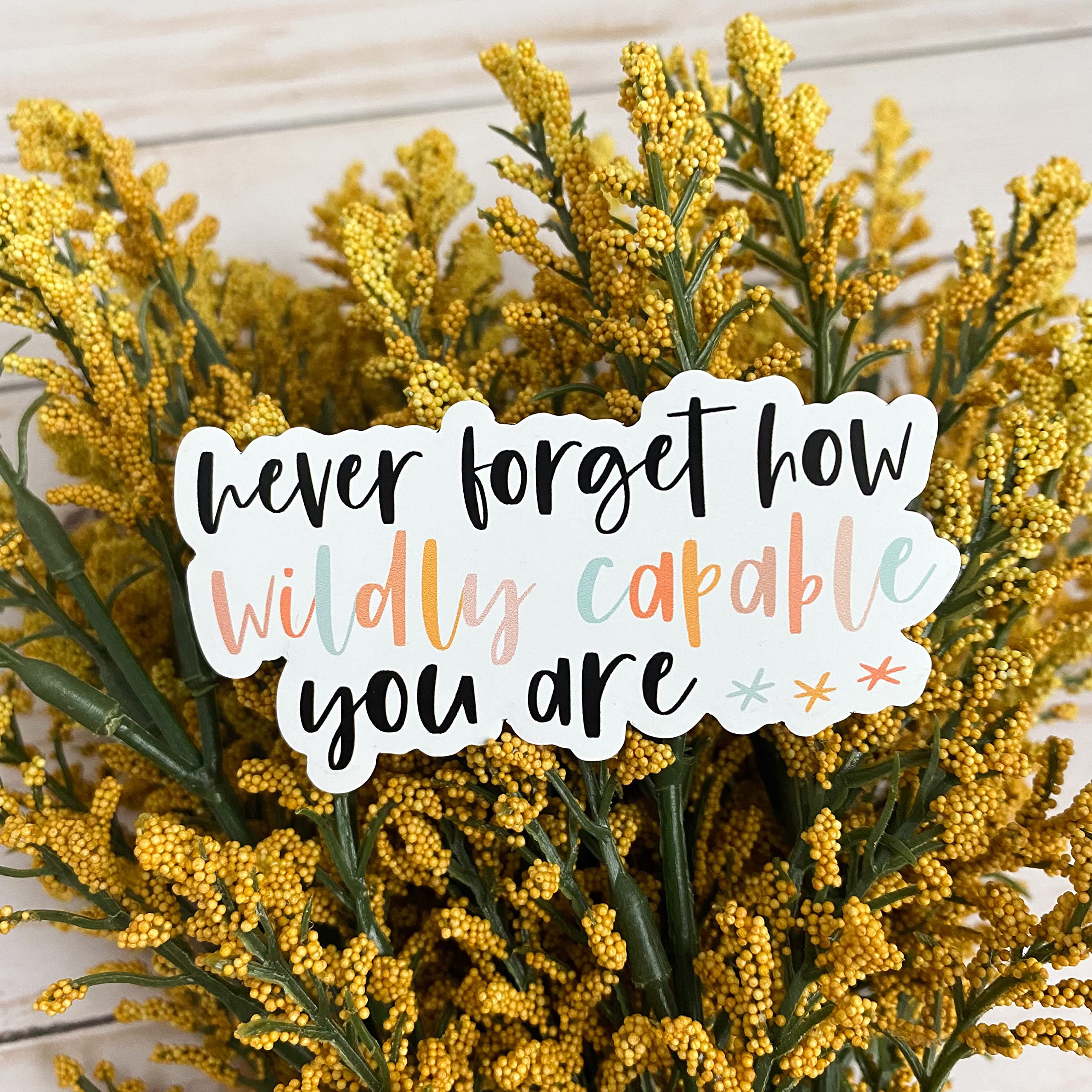 Cute Fridge Magnets with Inspirational Quotes - Never Forget How Wildly Capable You Are | Motivational Locker & Refrigerator Magnets for Home, Office & Gifts | Be Nice