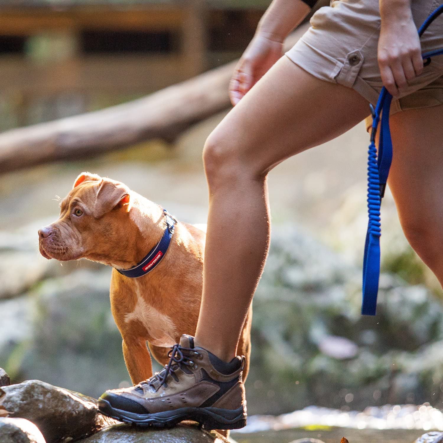 **EzyDog Zero Shock Dog Leash - Shock Absorbing Bungee Leash for Pulling or Excited Dogs - Dual Handle & Reflective for Large, Medium, Small Breeds (48-inch, Red) - Perfect for Walking, Running, and Training**
