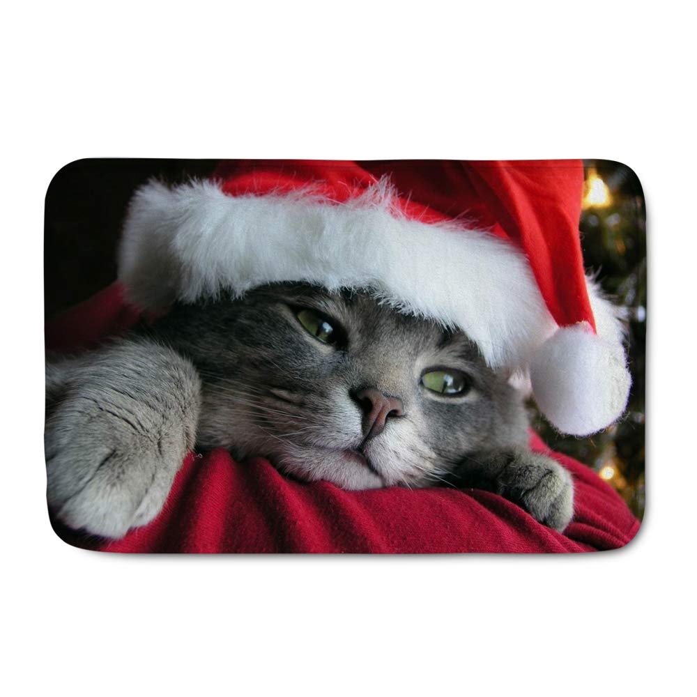 Chaqlin Christmas Doormat - Non-Slip Indoor/Outdoor Welcome Mat, Skid-Resistant Flannel Rug for Front Door - Perfect for Holiday Decor, Home Entrance & Pet-Friendly Spaces