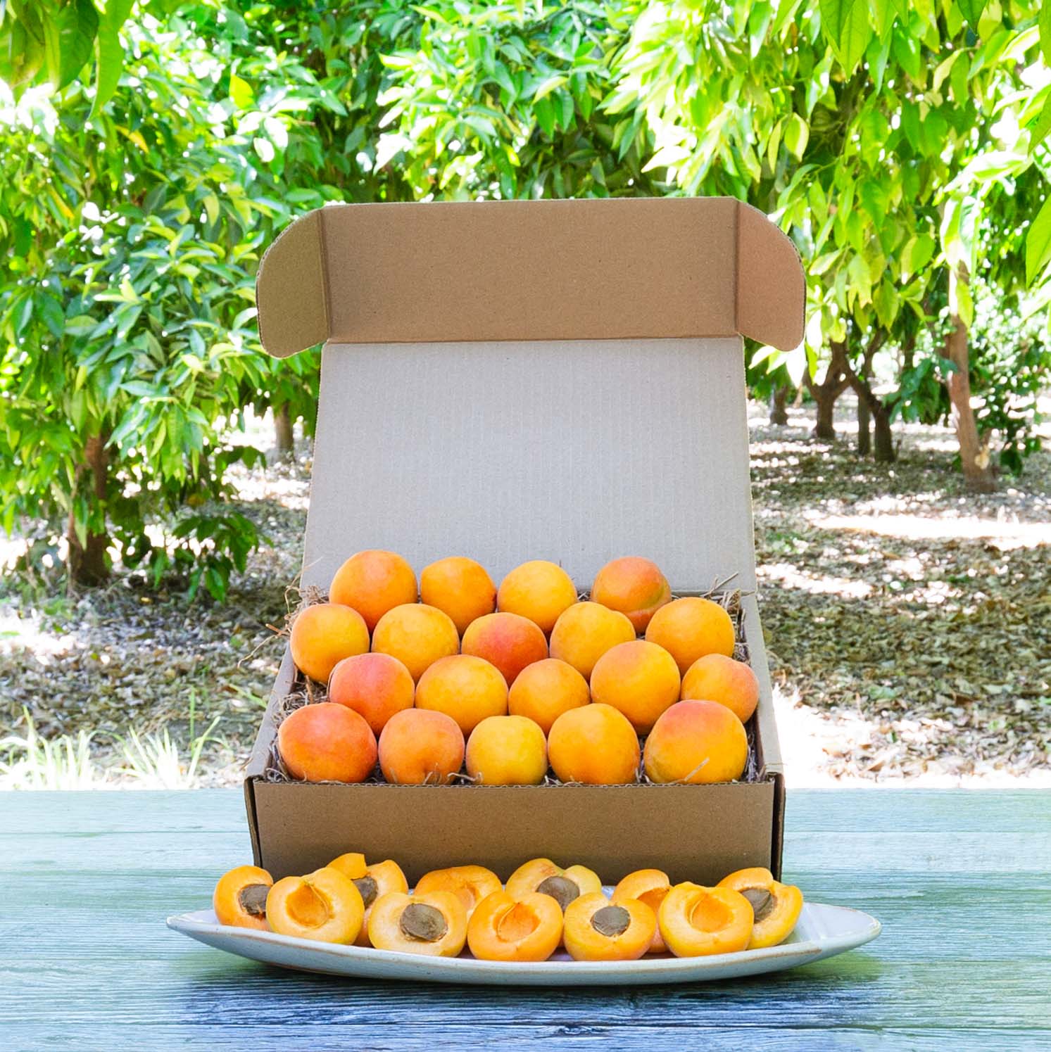 Organic Rojo Apricots - Premium Dried Fruit Snacks for Healthy Eating, Baking & Cooking | Vegan, Gluten-Free, Non-GMO | Perfect for Salads, Trail Mix & Gift Baskets