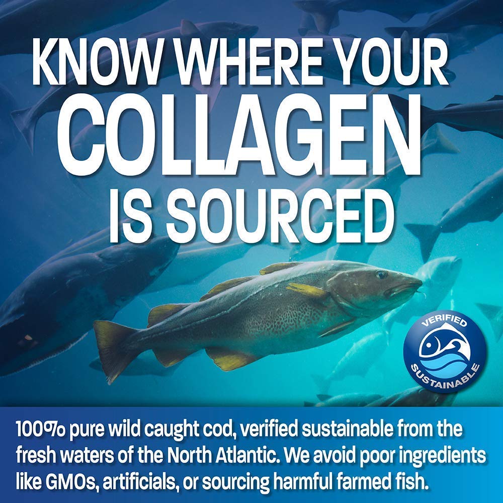 Premium Hydrolyzed Marine Collagen Peptides Protein Powder with Antarctic Krill Oil 1000mg - Rich in Omega-3 EPA & DHA for Skin, Hair & Joint Support - Ideal for Smoothies, Shakes & Daily Wellness Routine