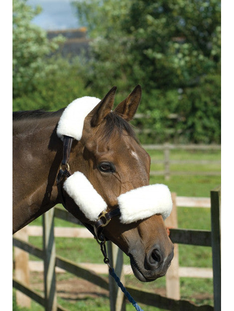 Premium Griffin Wool Headcollar Set for Horses - Soft & Durable Equestrian Training Gear - Perfect for Dressage, Show Jumping & Daily Stable Use