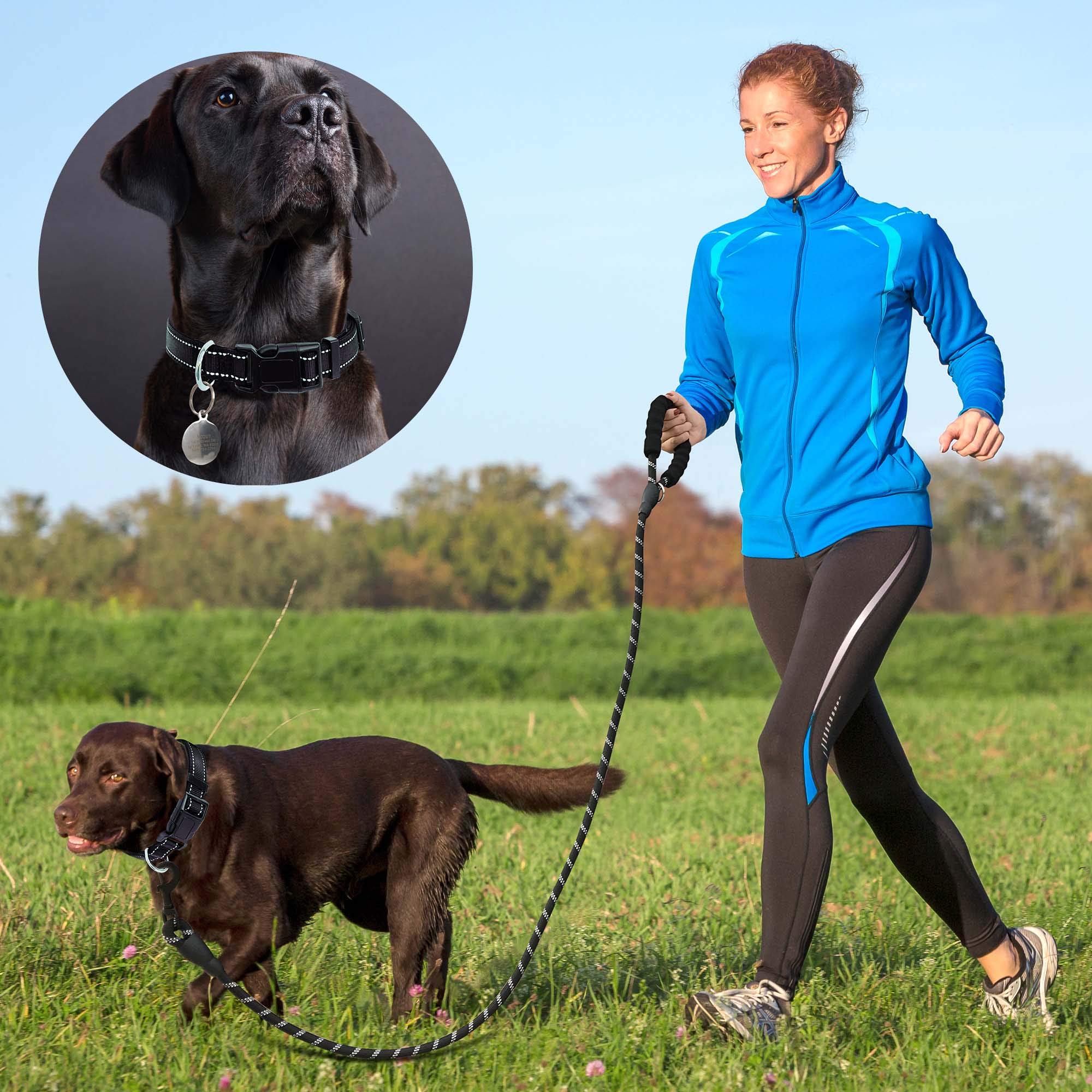 Reflective Adjustable Nylon Dog Collar with Soft Neoprene Padding - Breathable & Comfortable for Small, Medium & Large Dogs - Black Collar & Leash Set (Pack of 1) - Perfect for Night Walks, Training & Outdoor Adventures