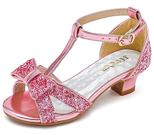 Shiny Pink Glitter