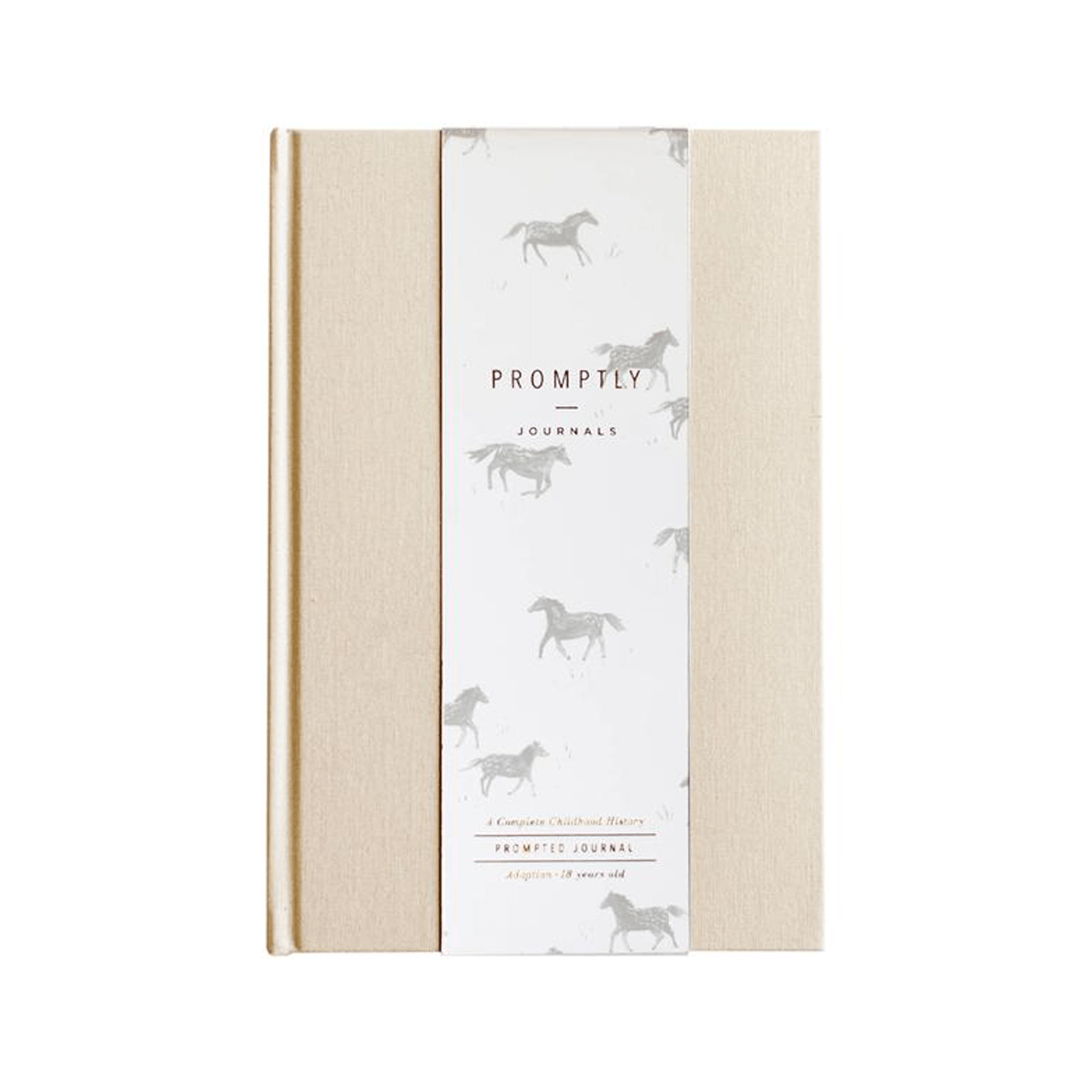 Adoption Memory Book - Keepsake Journal for Adoptive Parents to Document Child's Life from Adoption to 18 Years | Perfect for Baby Showers, Adoption Anniversaries & Family Bonding