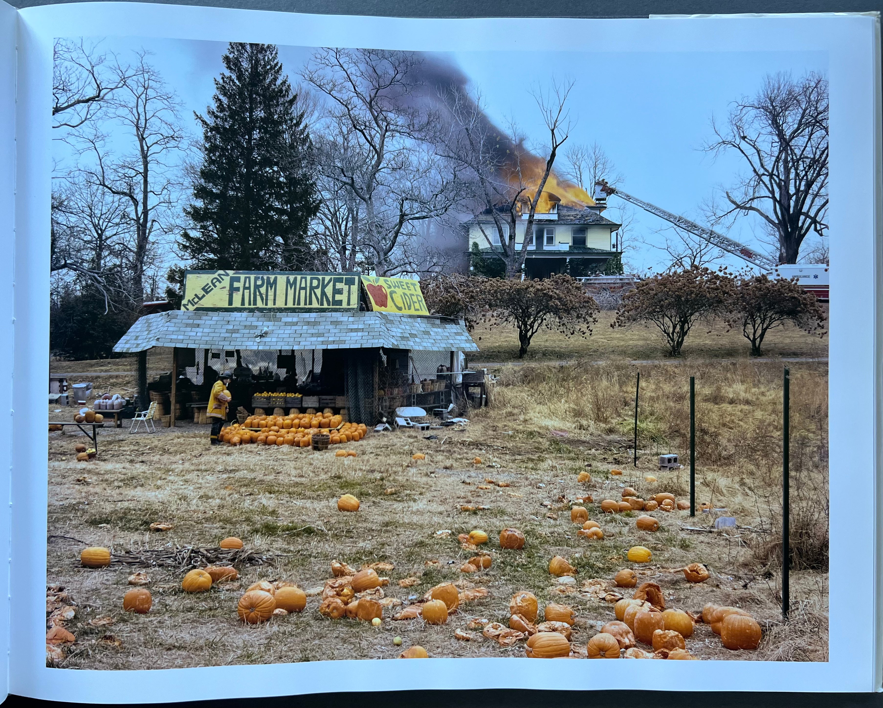 Joel Sternfeld: American Prospects - Photography Book of American Landscapes & Urban Scenes - Perfect for Art Lovers, Photographers & History Enthusiasts