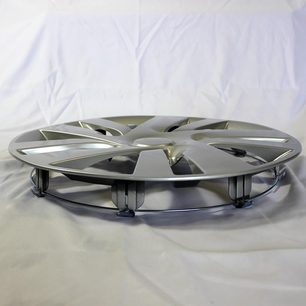 Silver 10 Spoke 15