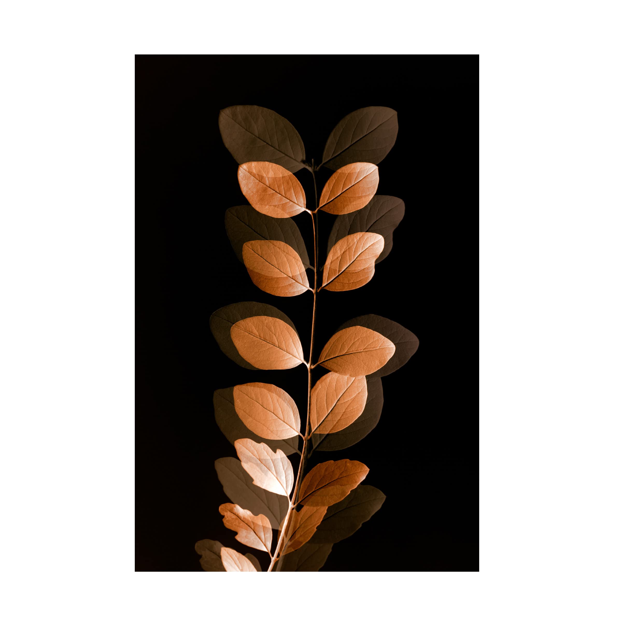 Fall Leaves 7 Canvas Wall Art Print by Ian Winstanley - Modern Nature Landscape Painting for Living Room, Bedroom & Office Decor
