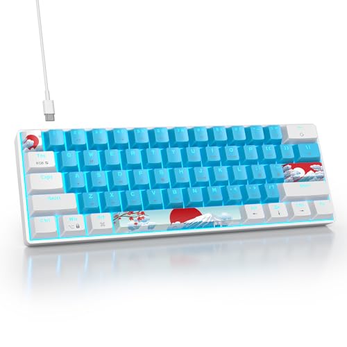 61 Blue/Blue Switch