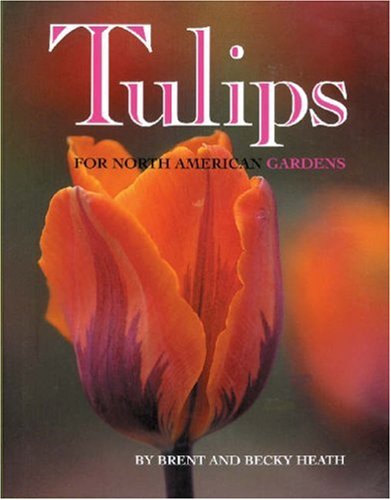 Premium Tulip Bulbs for North American Gardens - Perfect for Spring Planting, Landscaping & Home Garden Decor