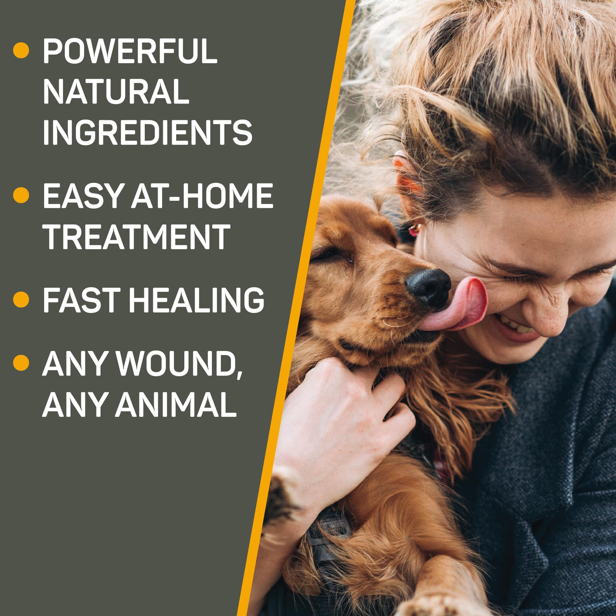 Absorbine Silver Honey Wound Care for Pets - Hot Spot Ointment & Spray Gel with Manuka Honey