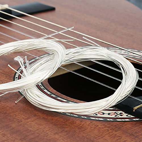5 Sets of 6 Classical Guitar Strings (3 Clear Nylon & 3 Nylon Core Alloy Wound) - Premium Acoustic Guitar Strings for Beginners & Professionals - Perfect for Practice, Performances & Studio Recording
