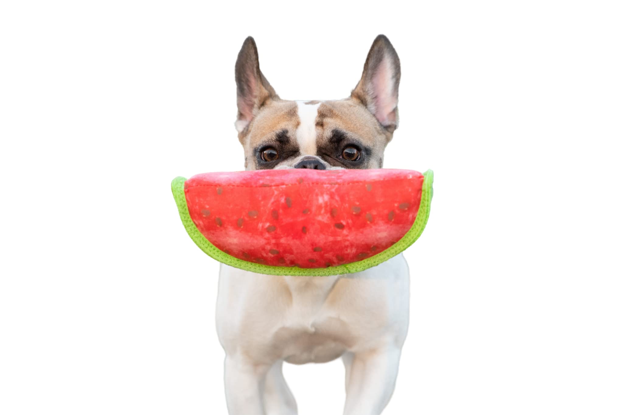 Durable Chew-Proof Dog Toys for Aggressive Chewers - Multi-Layered Tough Fetch & Tug Toys - Interactive Play for Large Dogs (Watermelon Design) - Perfect for Outdoor Play, Training & Bonding Time