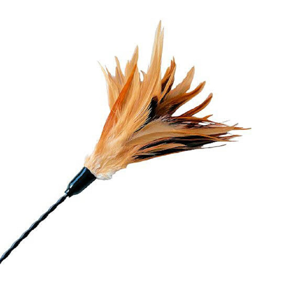 PURRfect Wiggle Bouncer Cat Teaser Toy - Interactive Cat Wand with Feathers for Play & Exercise - Great for Indoor Kittens & Adult Cats