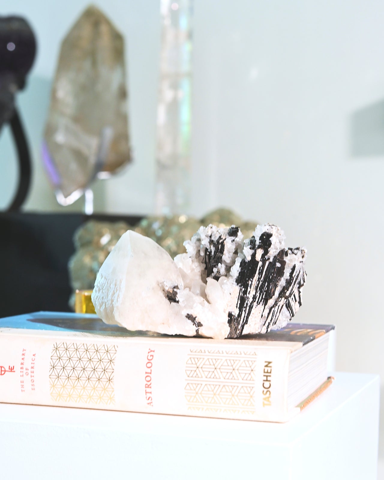 Natural Hubnerite with Quartz Crystal Cluster - 6 Inch Mineral Specimen for Collectors, Healing & Home Decor