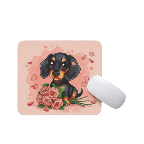 Dachshund