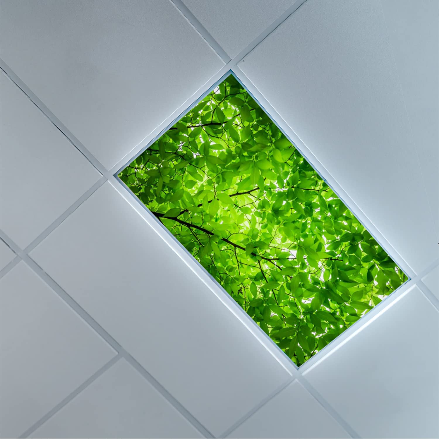 Decorative Fluorescent Light Cover with Leaves Pattern - 2ft x 4ft Green Ceiling Light Filter for Classroom, Office, Hospital & Home - Enhance Ambiance & Reduce Glare