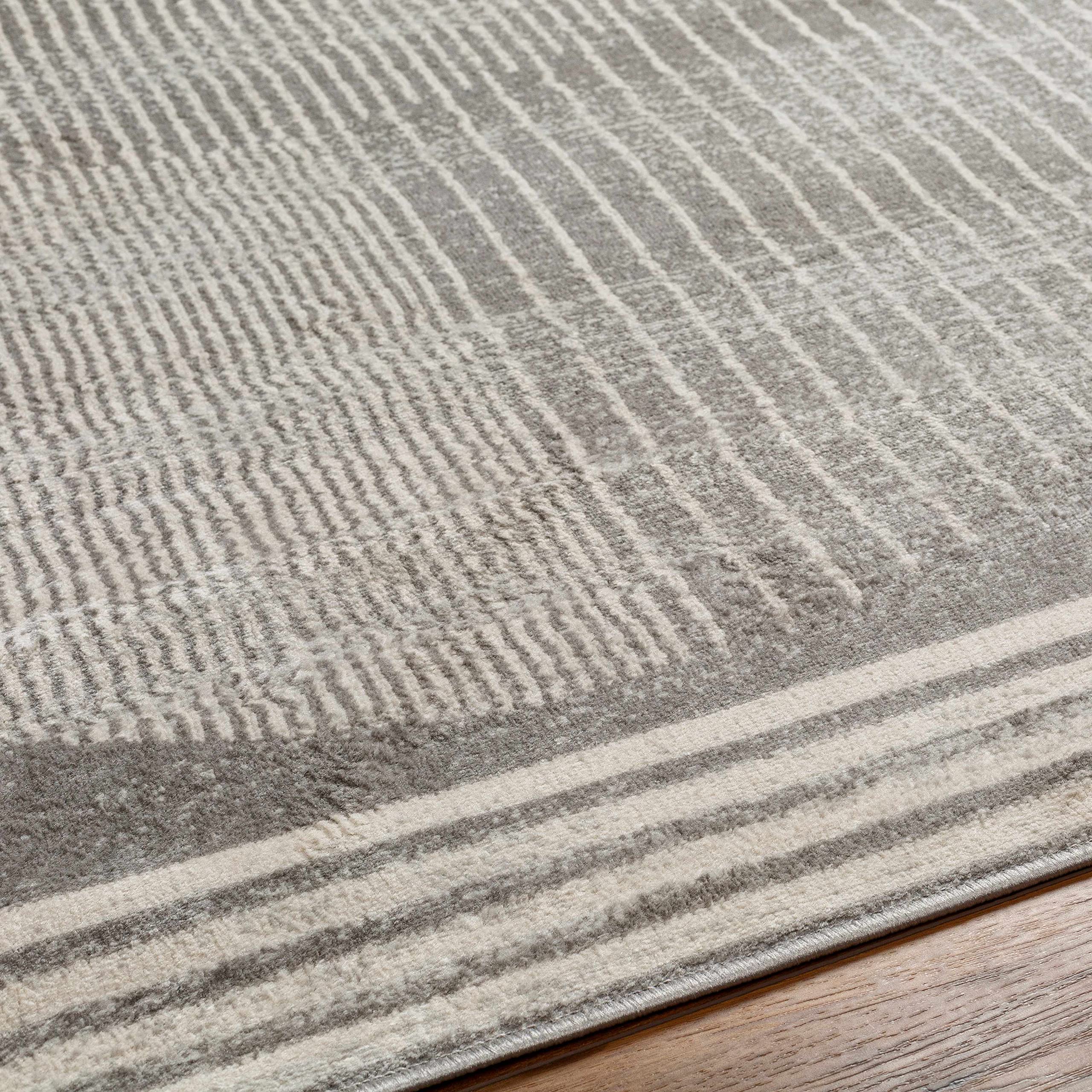 Beauregard Modern Gray Area Rug 5'3