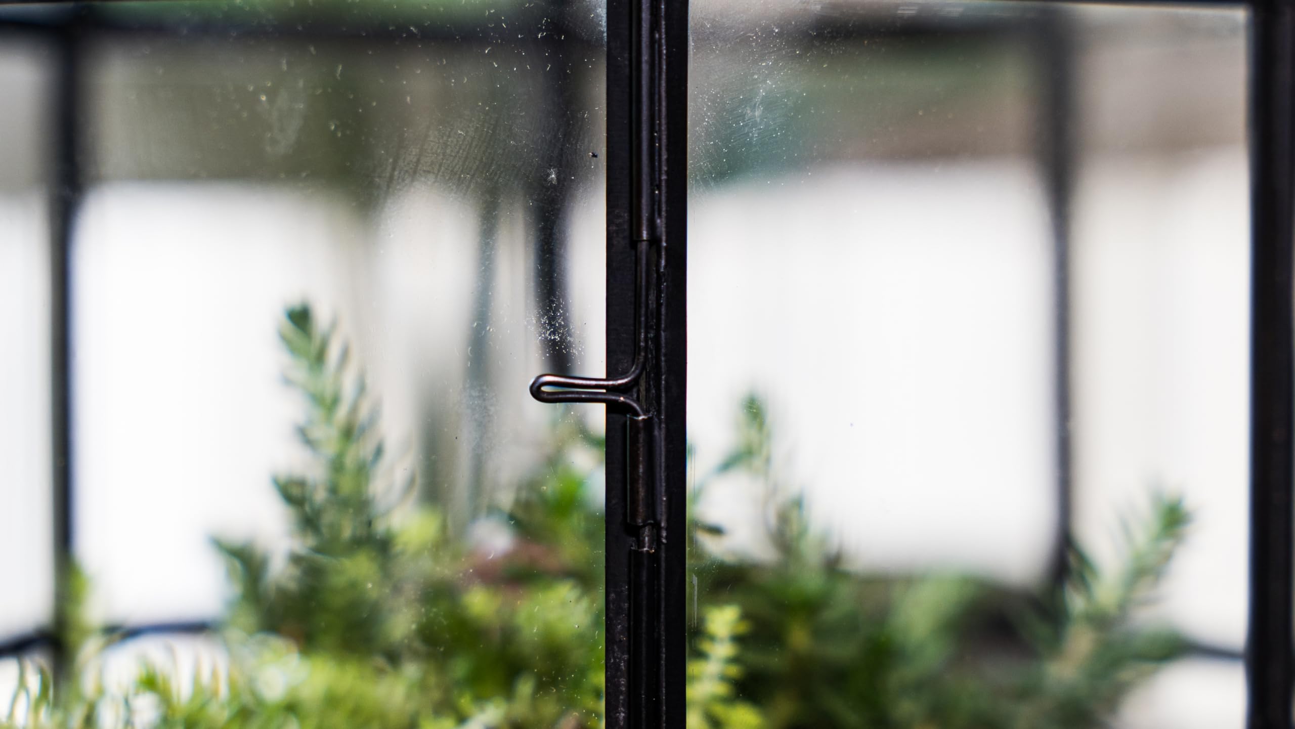 Handmade Large Glass Terrarium for Birds & Plants - 10