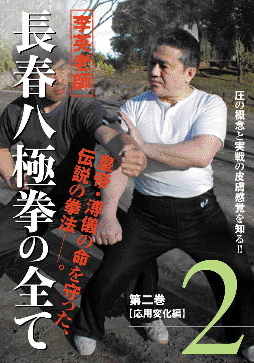 Li Ying's All About Chang Chun Bajiquan DVD 2 - Authentic Chinese Martial Arts Training for Self-Defense & Fitness | Perfect for Martial Arts Enthusiasts & Home Workouts