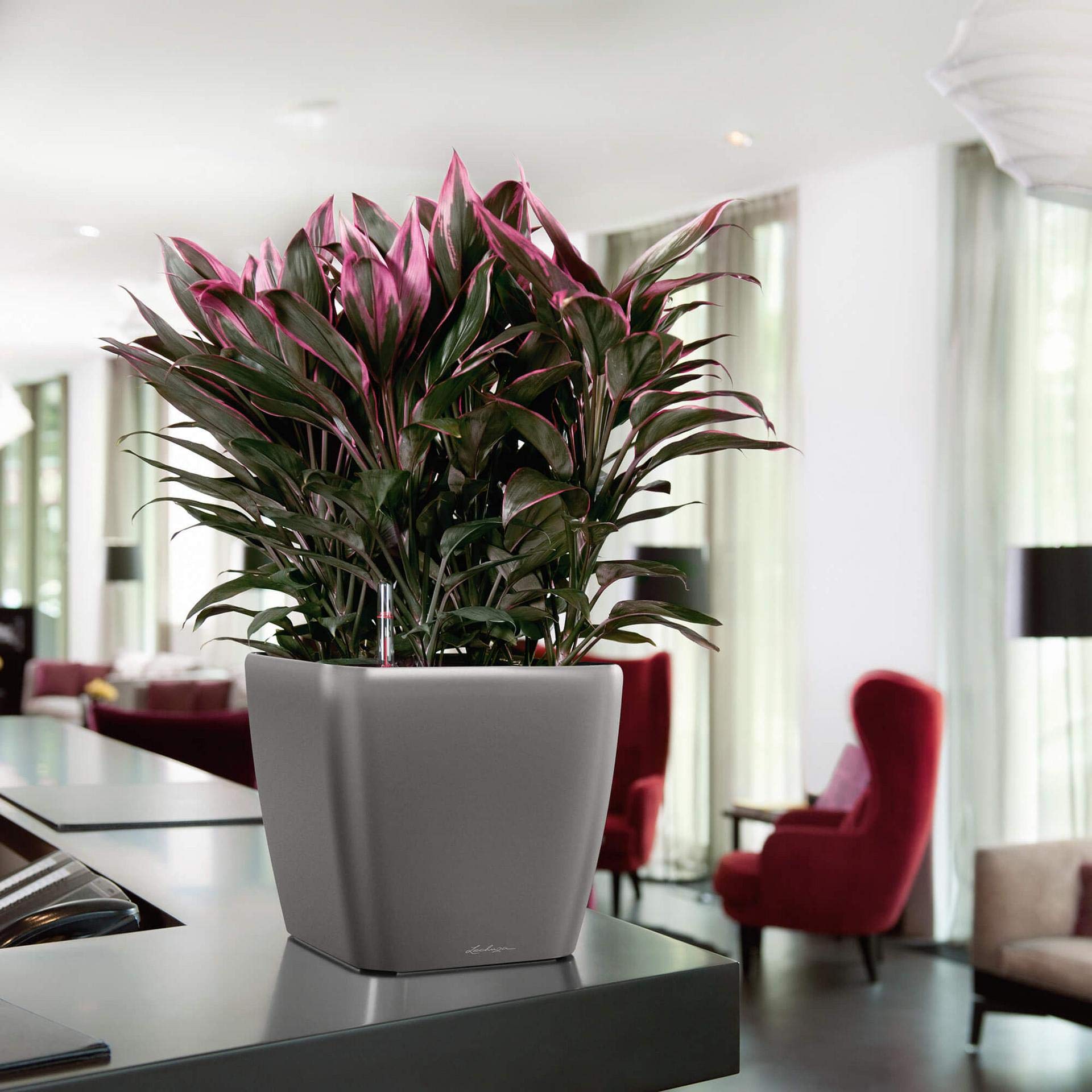 Lechuza Quadro Premium LS 28 Self-Watering Planter - Taupe High Gloss Finish (Model 16145) | Modern Indoor Flower Pot for Home, Office & Balcony Decor