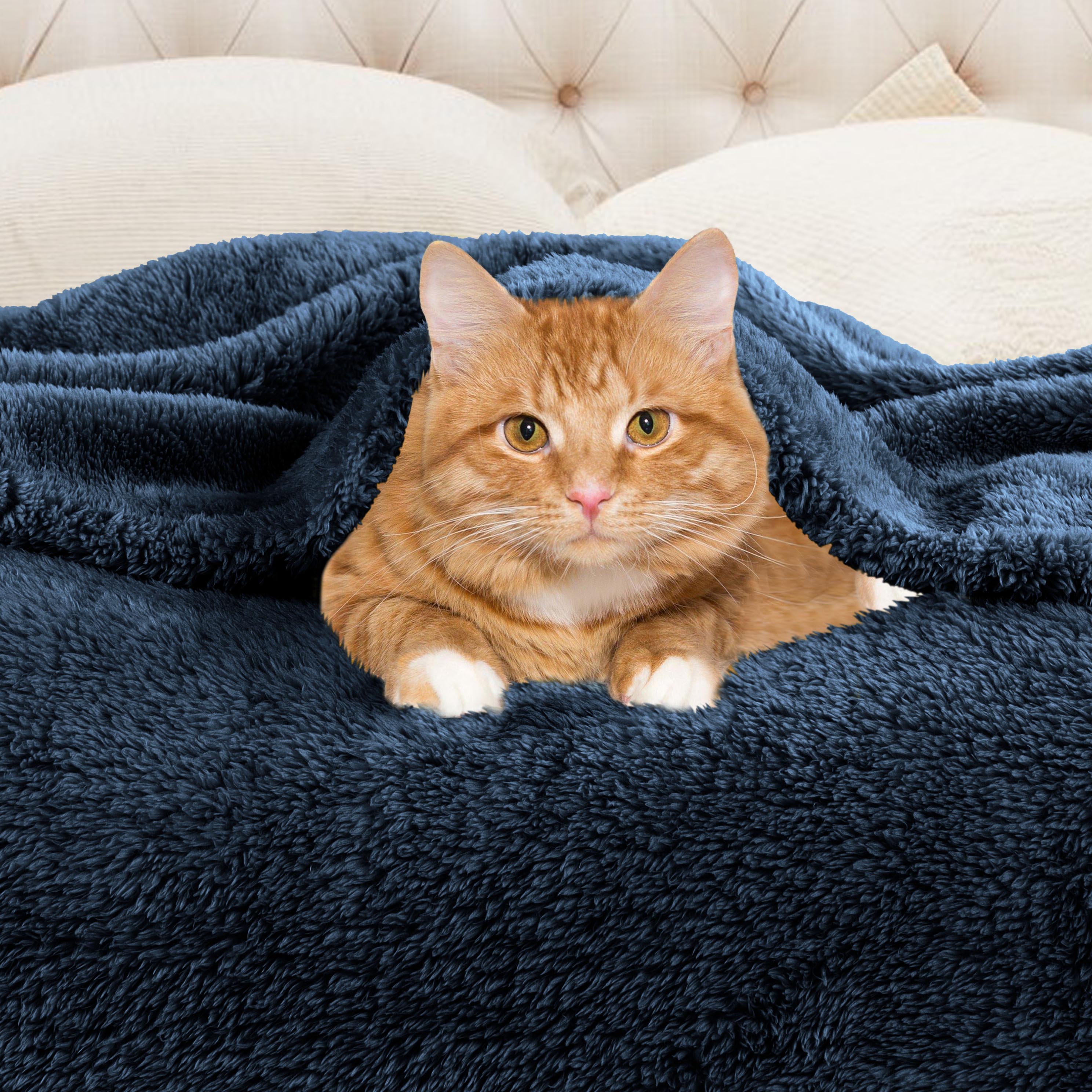 Classic Solid Fleece Plush Medium Weight Fluffy Soft Blanket - Cozy & Warm for Bed, Sofa, Travel & Gifts | Ultra-Soft Throw Blanket for All Seasons
