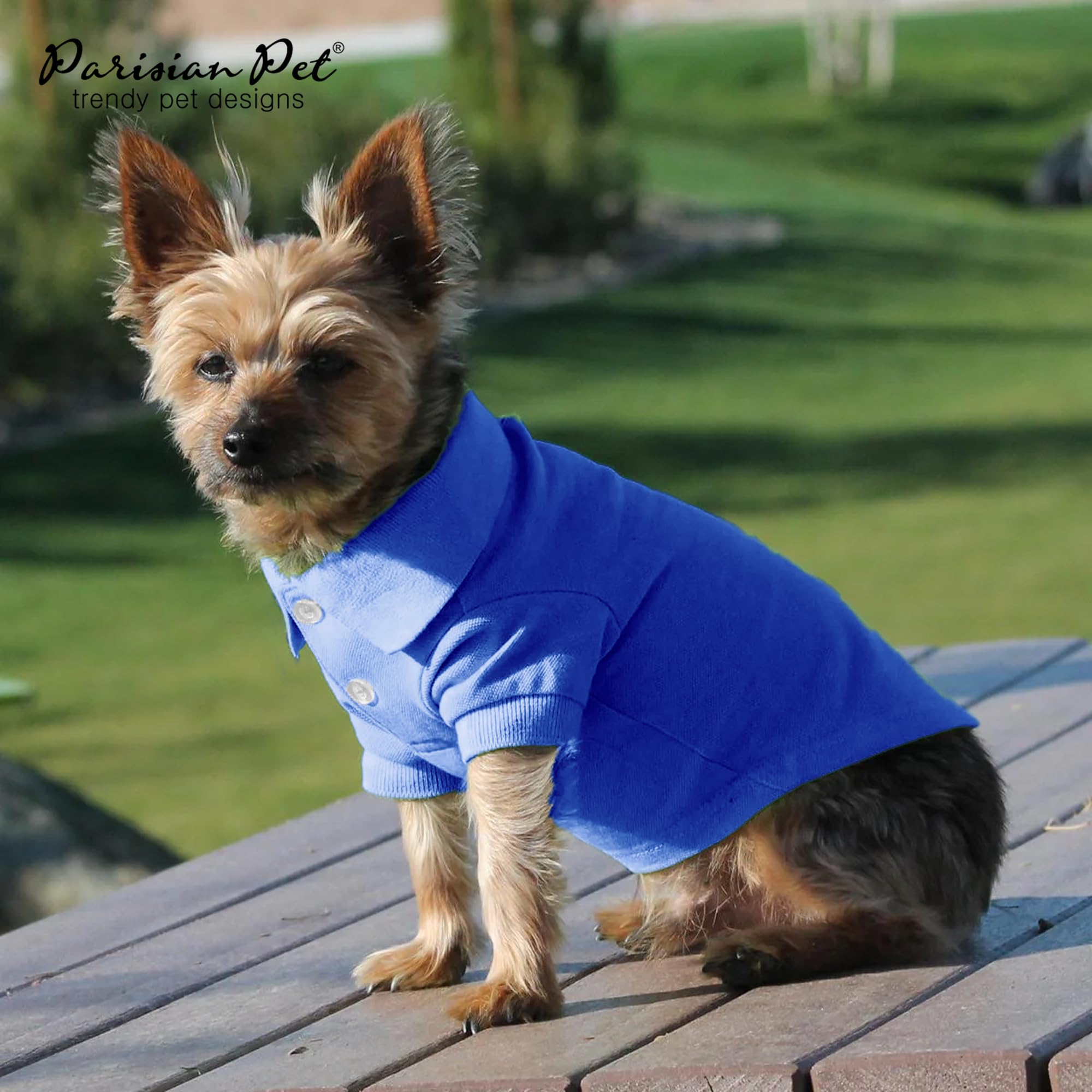 Parisian Pet Dog Polo Shirts - Breathable Cotton Dog Shirt for Large Dogs (3XL) - Solid Blue Summer Pullover with Button-Up Collar | Stylish Dog Clothes for Outdoor Walks, Pet Parties & Photo Shoots