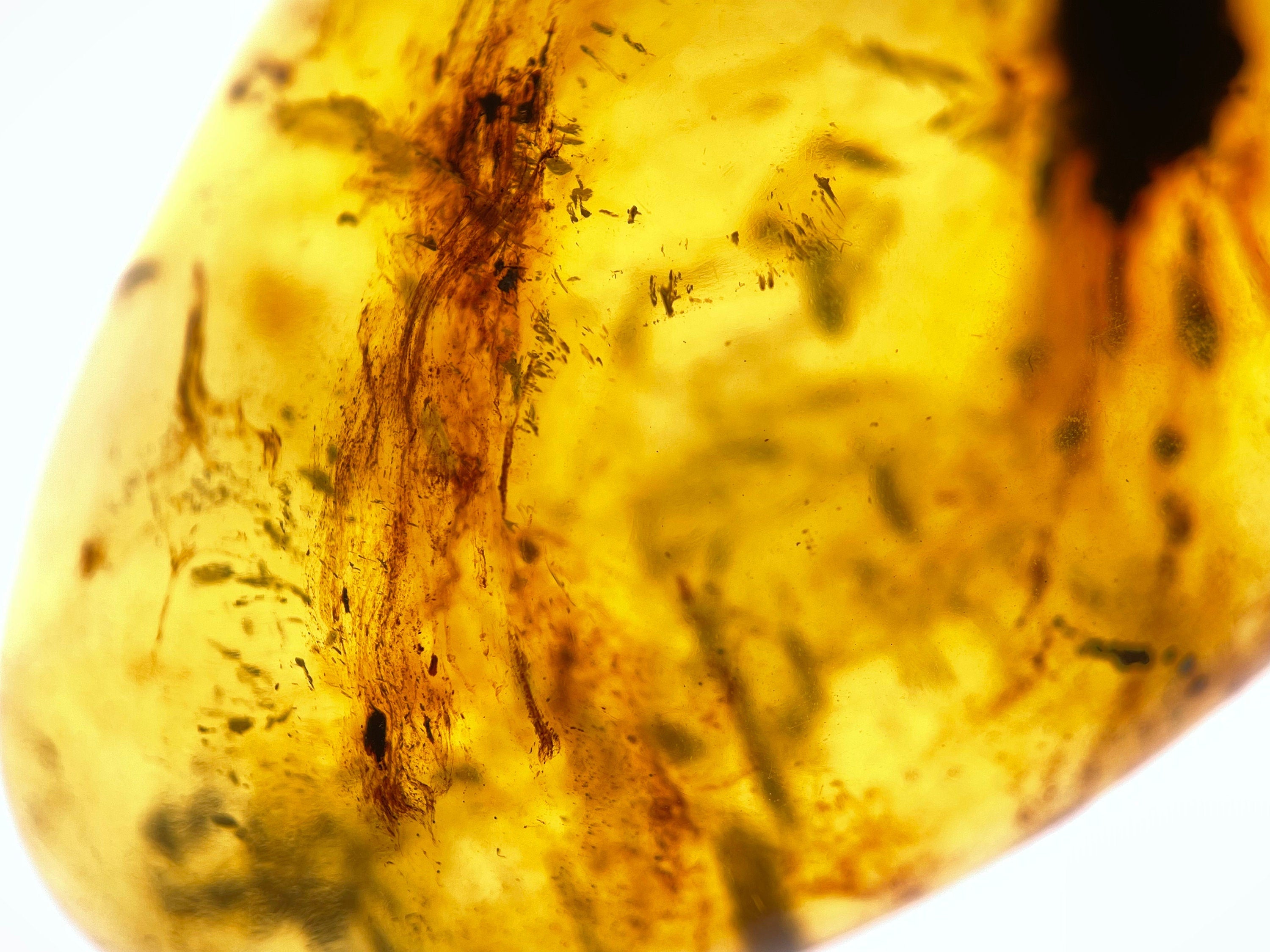 Handmade AMBER Crystal Necklace - Natural Healing Stone Pendant Jewelry for Women | Perfect for Meditation, Energy Healing & Spiritual Gifts