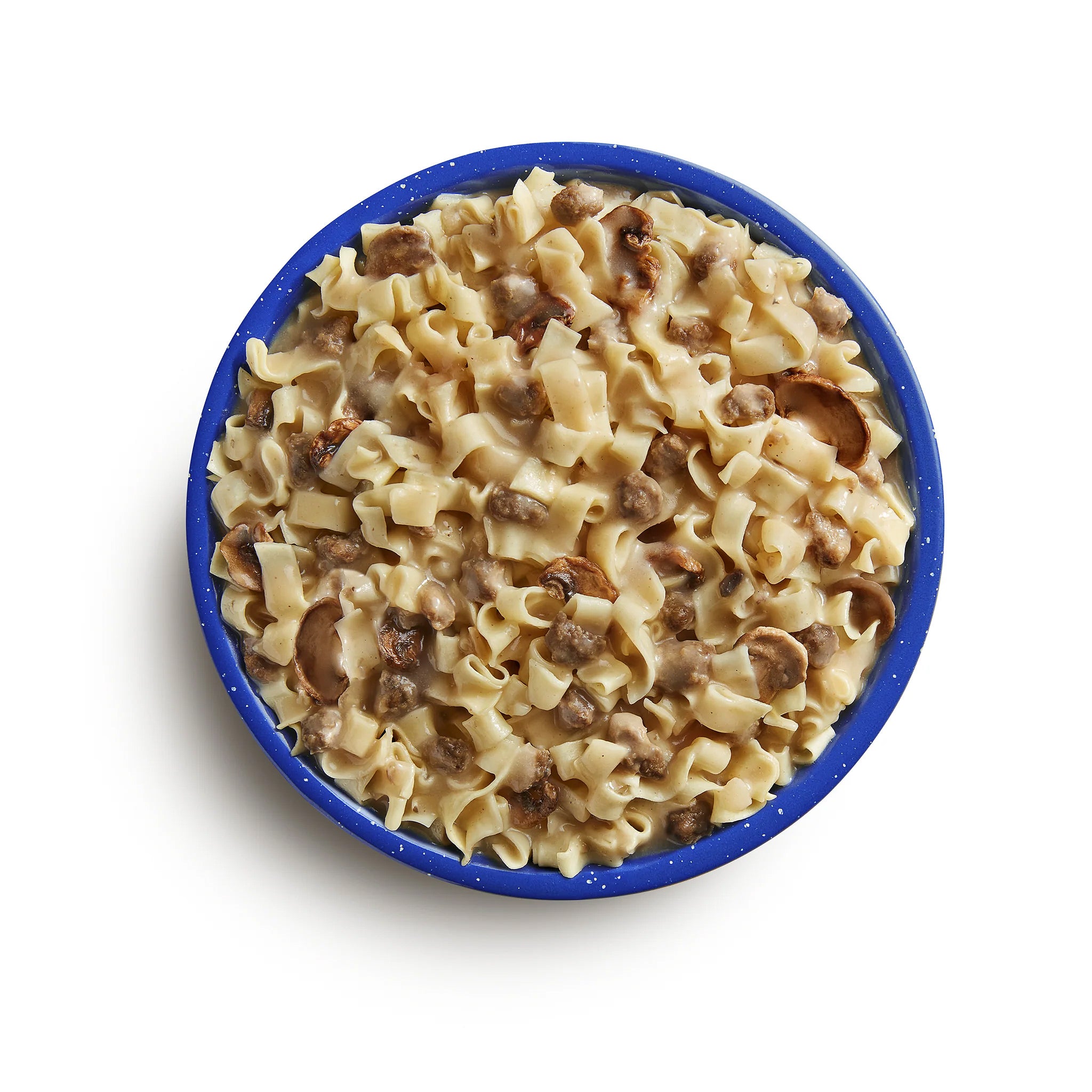 Mountain House Beef Stroganoff with Noodles - Freeze Dried Survival Food in #10 Can - Perfect for Camping, Hiking & Emergency Preparedness
