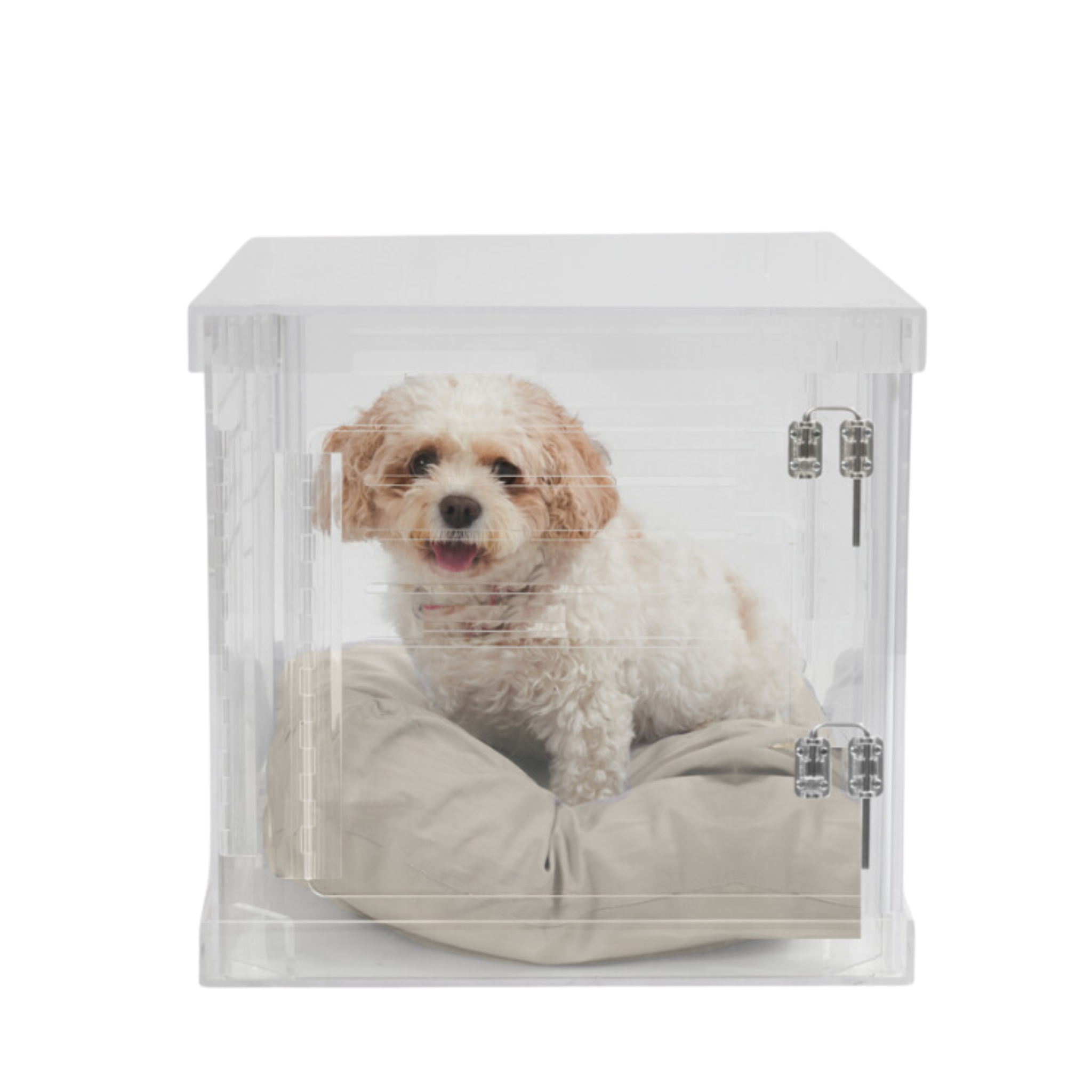 Clear Plastic Dog Crate with Removable Gate - Portable Pet Carrier for Small to Medium Dogs - Perfect for Travel, Training & Home Use