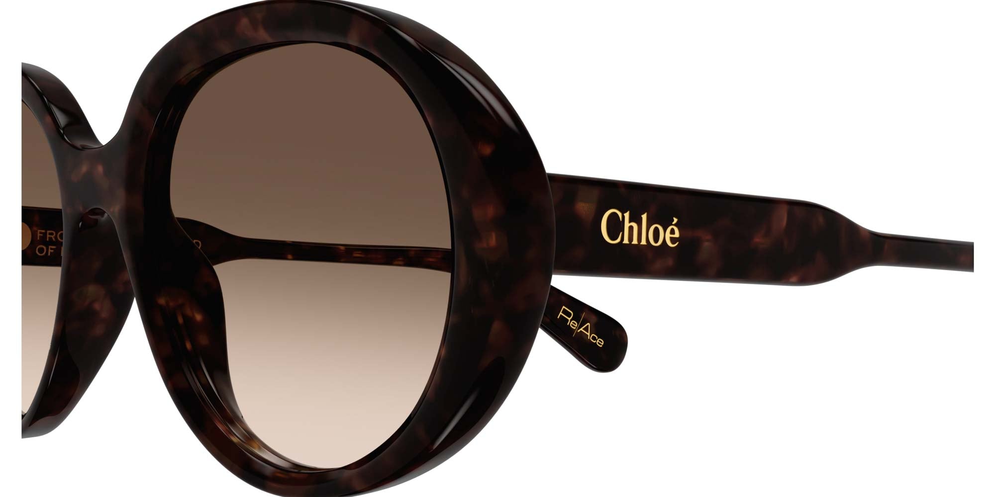 Chloe CH0221S Sunglasses - Polarized UV Protection for Women - Fashionable & Lightweight for Outdoor Activities, Driving & Travel