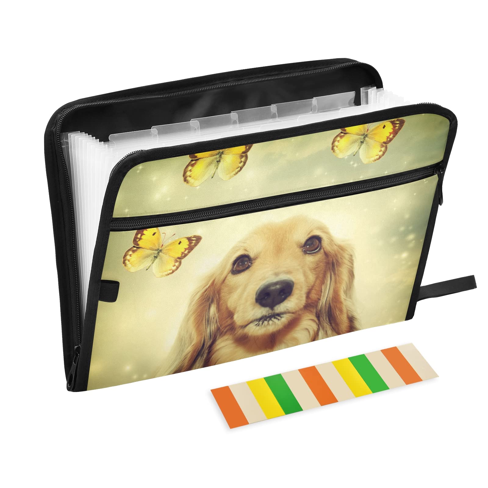 UMIRIKO 13-Pocket Expanding File Folder with Sticky Labels - A4 Letter Size Accordion Document Organizer with Zipper Closure for Office, School & Home Organization (20220744)