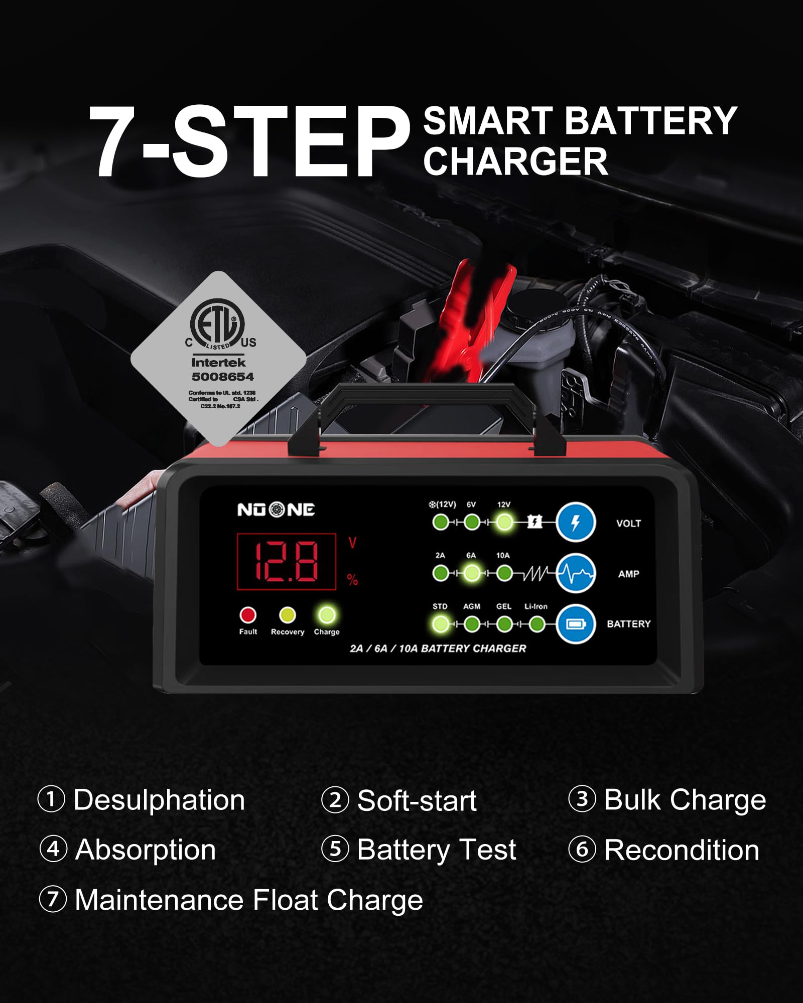 NOONE 2/6/10A Smart Car Battery Charger & Maintainer - 6V/12V Fully Automatic Trickle Charger with Desulfation - Compatible with Cars, Motorcycles, Lawn Mowers, Boats & Marine Lead Acid Batteries - Perfect for Winter Storage & Long-Term Battery Maintenance