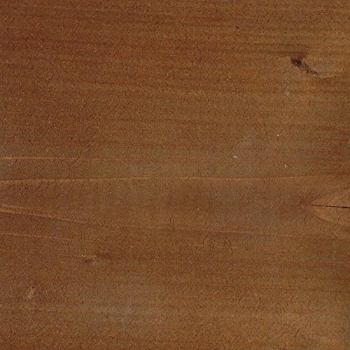 Mushroom Stain