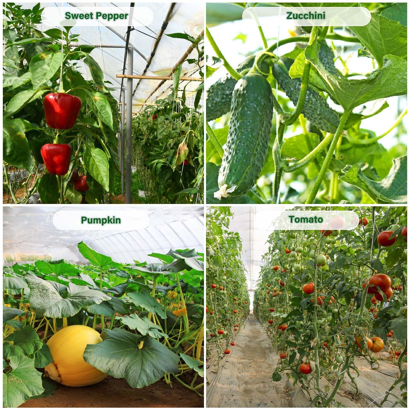 6 Mil Clear Greenhouse Plastic Sheeting 32 x 40FT - Heavy Duty UV Resistant Polyethylene Film for Gardening & Farming - High Light Transmission, Weatherproof Cover for Greenhouses, Plant Tunnels & Hoop Houses