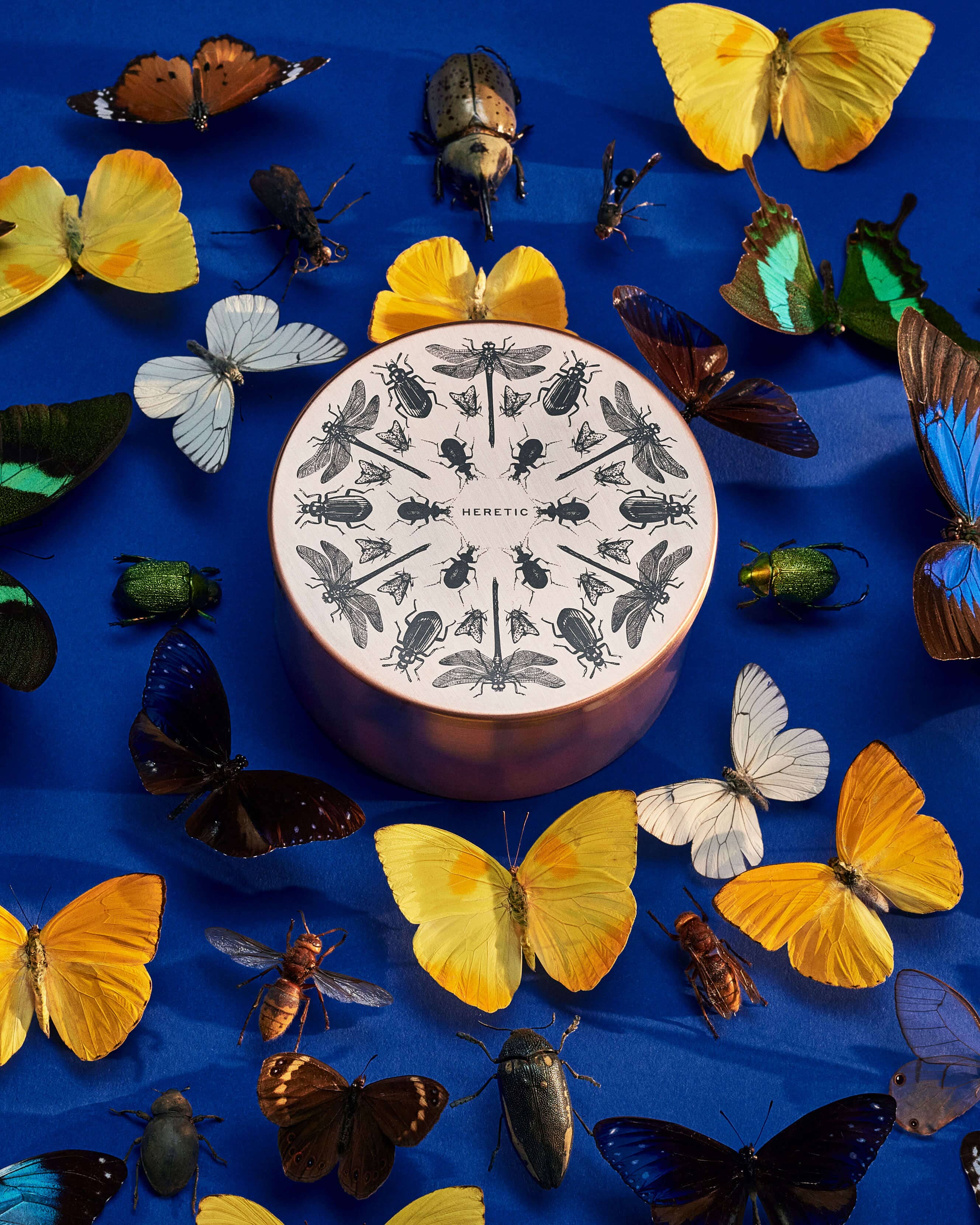 Entomologist Candle - Handmade Insect-Themed Soy Wax Candle for Home Decor, Gifts & Science Lovers - Perfect for Study Rooms, Nature-Themed Weddings & Entomology Enthusiasts