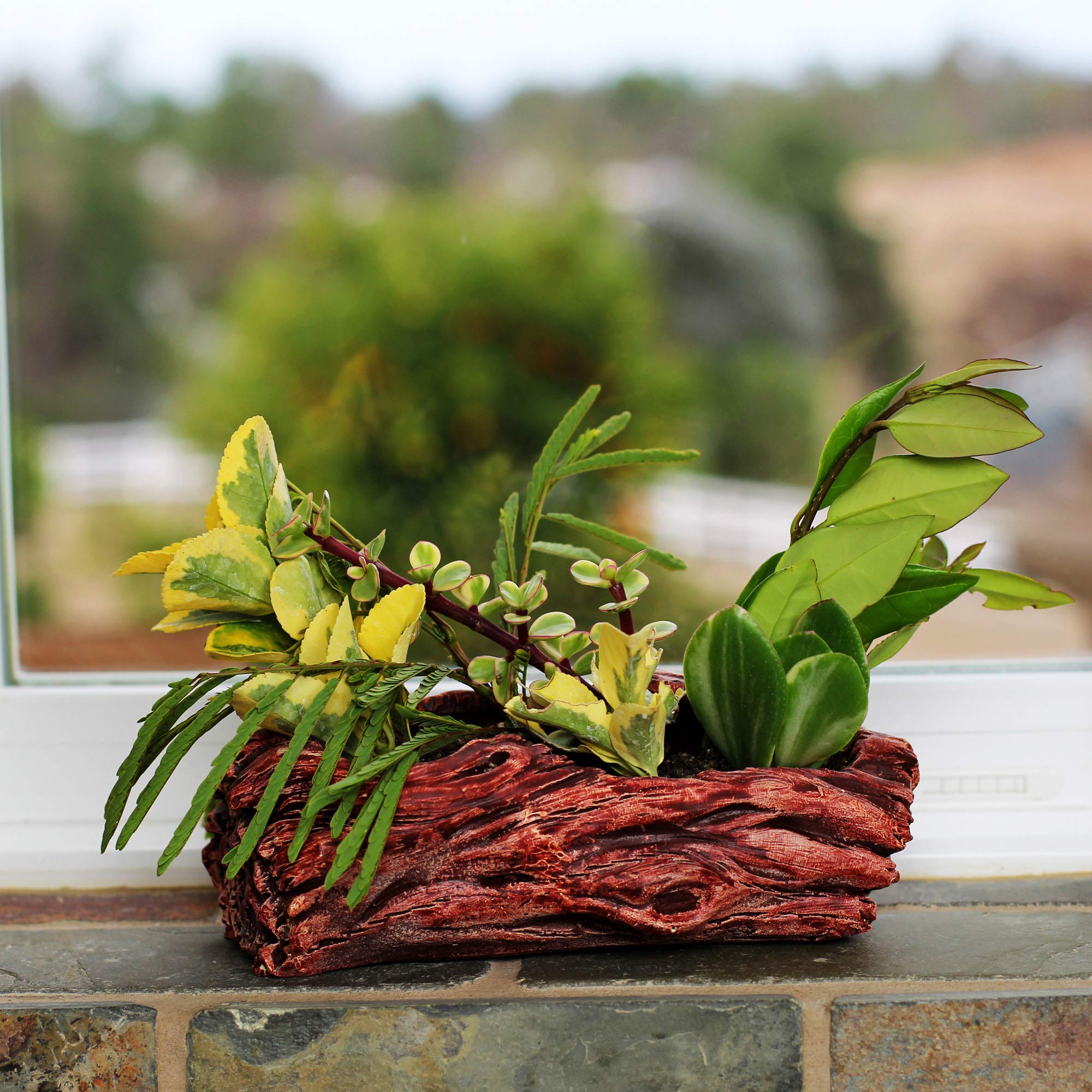 Ceramic Wood Plant Pot - Indoor Wood Planter for Succulents & Small Plants | Unique Log Planter with Natural Knot Design (Redwood) - Perfect for Home Decor, Office Desk & Gift Ideas