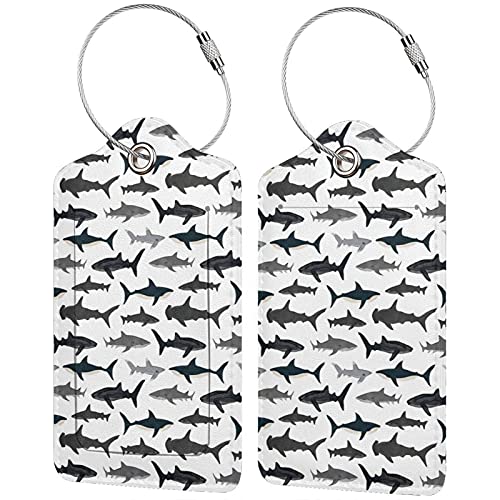 Sharks Nautical Boys
