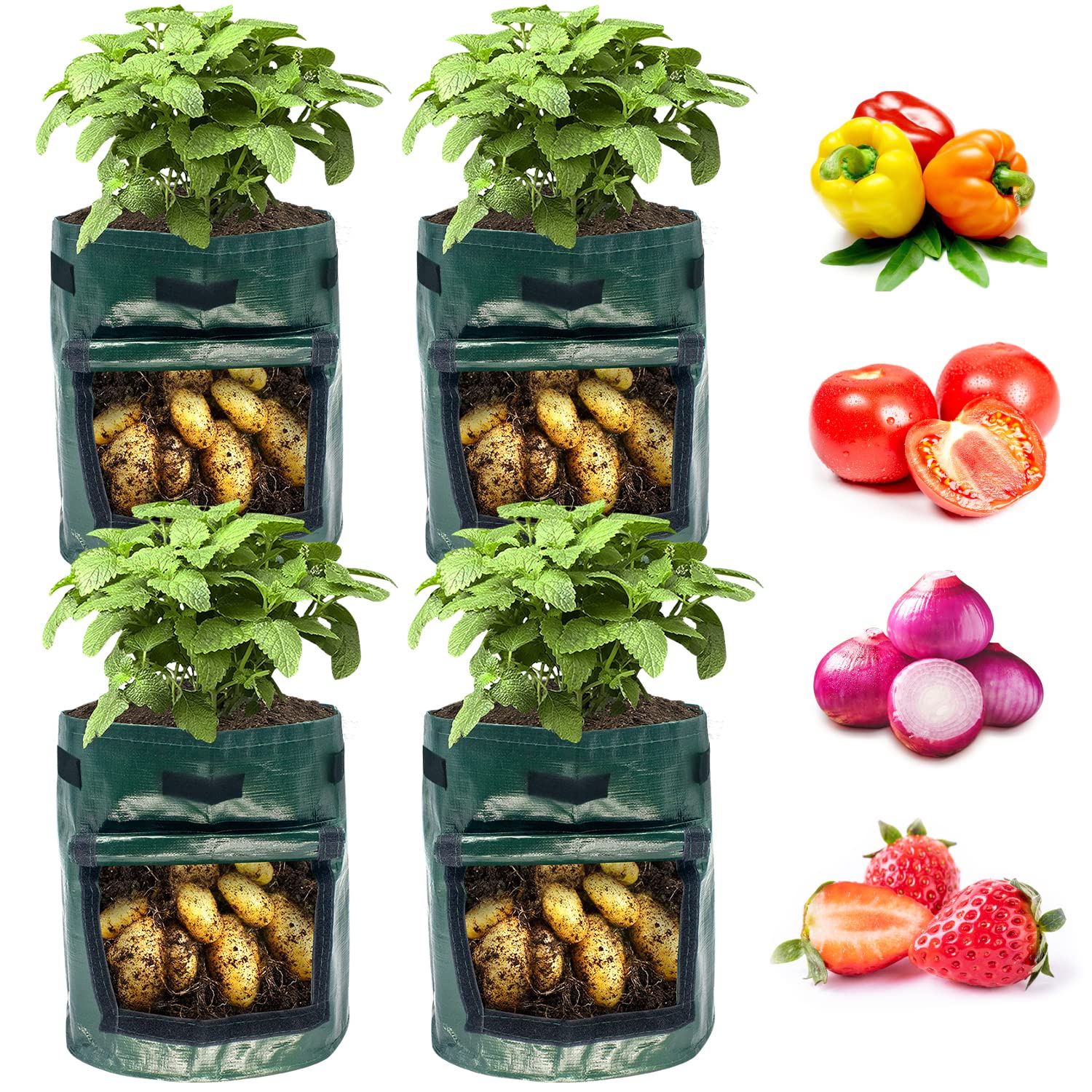 7 Gallon Potato Grow Bags 4 Pack - Heavy Duty Fabric Planters with Flap for Growing Potatoes, Carrots, Onions & Sweet Potatoes | Perfect for Home Gardening, Balcony Planting & Urban Farming